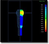 BMF NagForm Model